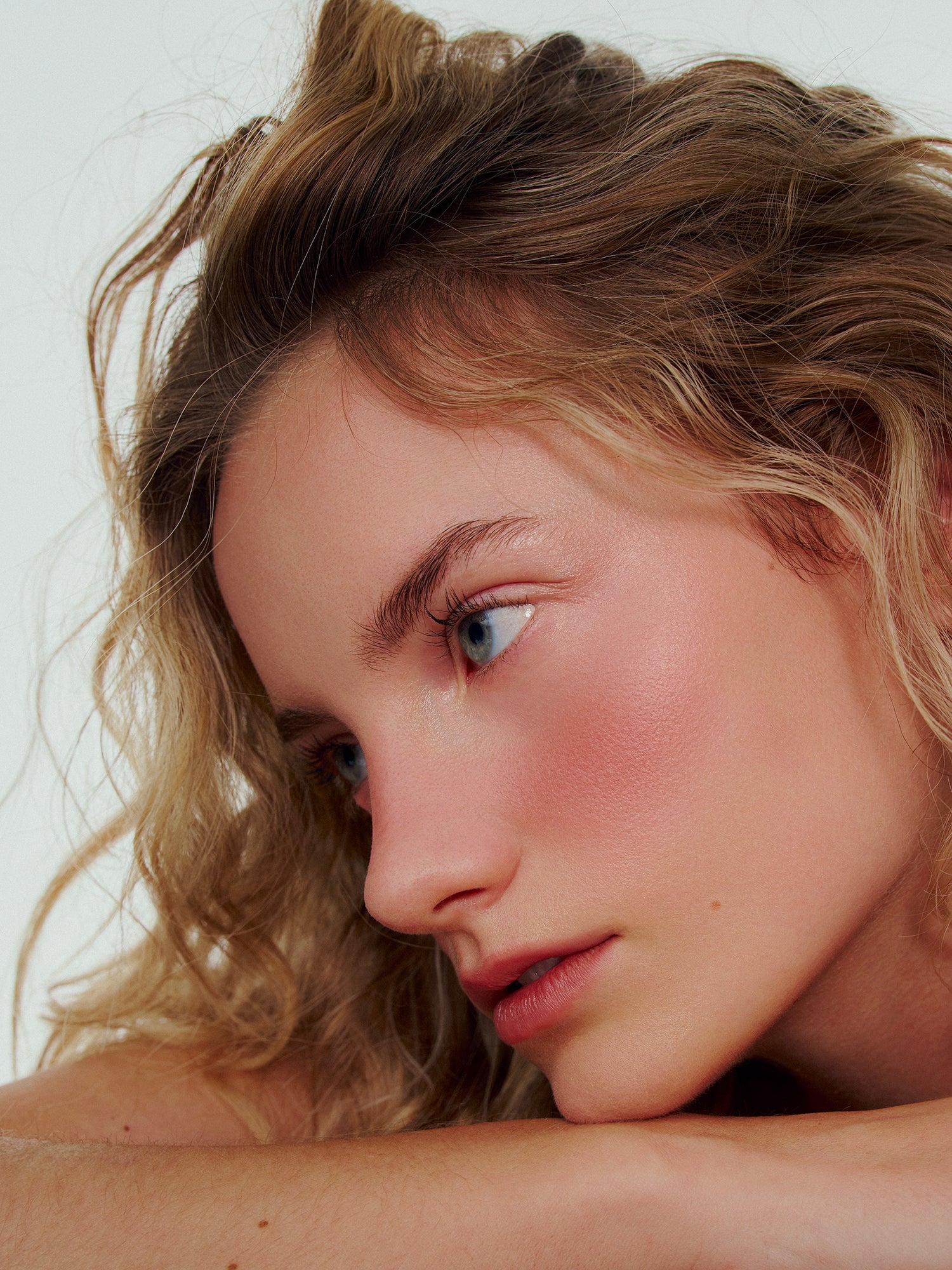 Le Fard à Joues - Pomegranate Rose